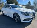 Mercedes-Benz E 300 de T 9G-TRONIC LED/Navi/Standheizung/Alu18" Blanc - thumbnail 5