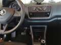 Skoda Citigo Citigo 5p 2018 5p 1.0 mpi Ambition 75cv asg my19 Nero - thumbnail 6