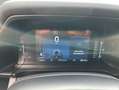 Ford Ranger 2,0 l EcoBlue Umbau Doppelkabine Autm. Wild Gris - thumbnail 11