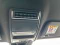 Ford Ranger 2,0 l EcoBlue Umbau Doppelkabine Autm. Wild Grau - thumbnail 15
