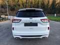 Ford Kuga Kuga 2.0 EcoBlue 120 CV aut. 2WD ST-Line Blanc - thumbnail 8