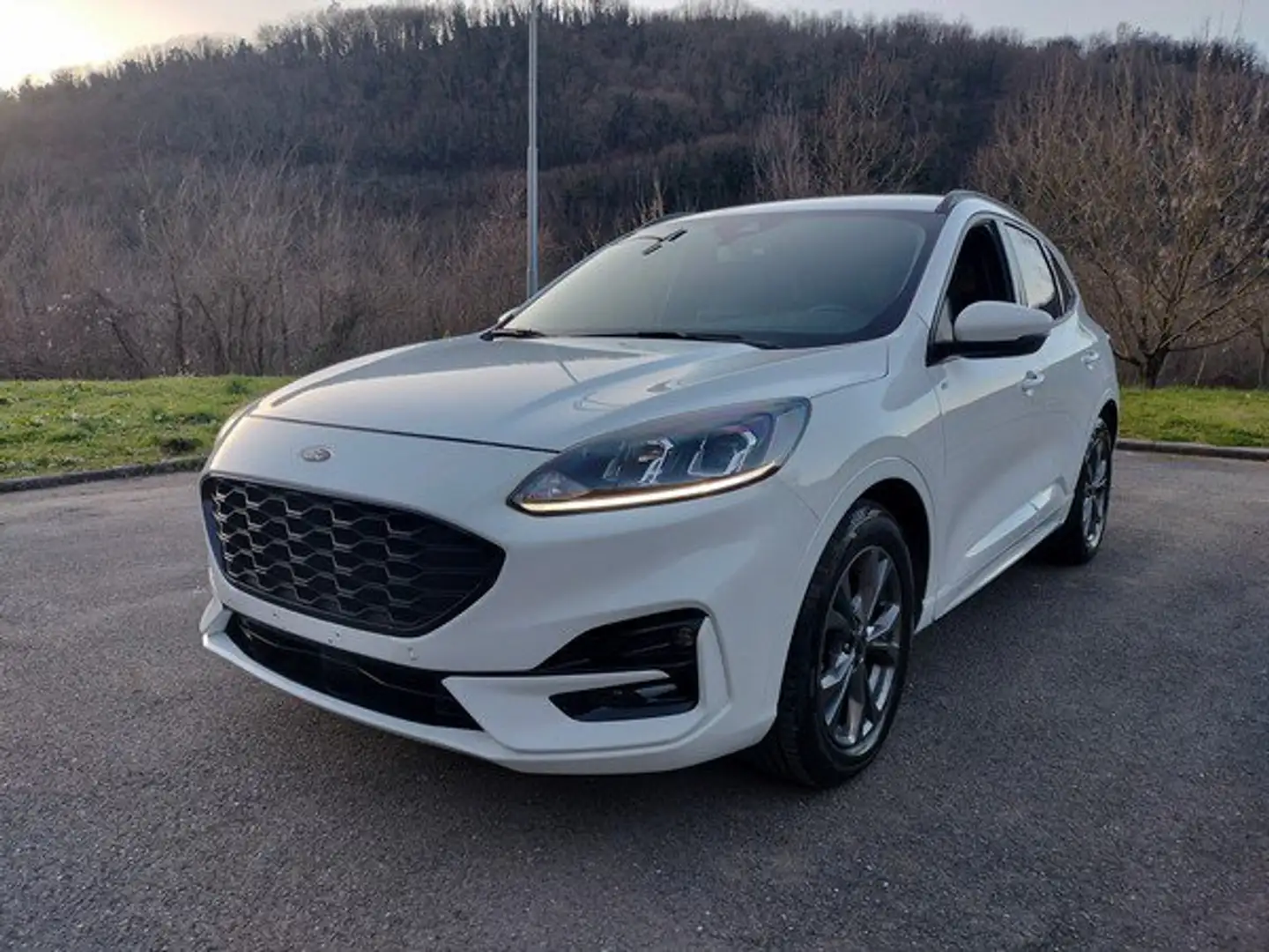 Ford Kuga Kuga 2.0 EcoBlue 120 CV aut. 2WD ST-Line Blanc - 2