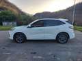 Ford Kuga Kuga 2.0 EcoBlue 120 CV aut. 2WD ST-Line Blanc - thumbnail 5