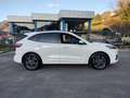 Ford Kuga Kuga 2.0 EcoBlue 120 CV aut. 2WD ST-Line Blanc - thumbnail 4