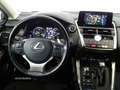 Lexus NX 300h Business Navigation 2WD Bianco - thumbnail 9