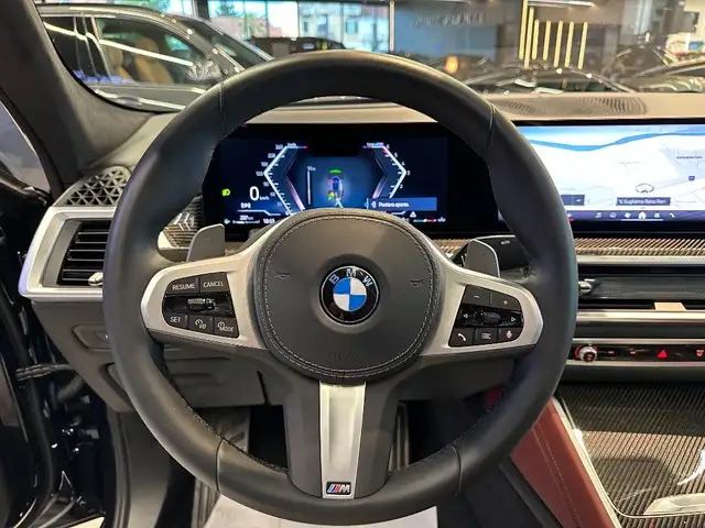 BMW X6 view 8