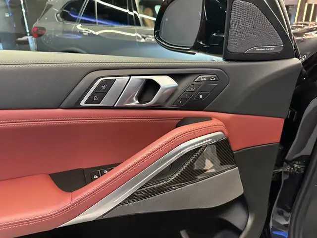 BMW X6 view 15