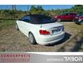 BMW 120 Cabrio - 120 i Dynamik + Komfort Paket SHZ - thumbnail 4