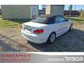 BMW 120 Cabrio - 120 i Dynamik + Komfort Paket SHZ - thumbnail 3