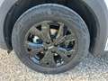 Dacia Jogger 1.0 TCe GPL 7 posti Extreme Up Blanc - thumbnail 8