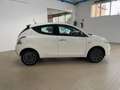 Lancia Ypsilon 1.0 hybrid ORO KM0 KM0+Clima autom.+Sensori Km0 Bianco - thumbnail 5
