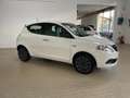 Lancia Ypsilon 1.0 hybrid ORO KM0 KM0+Clima autom.+Sensori Km0 Bianco - thumbnail 4