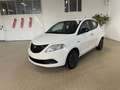 Lancia Ypsilon 1.0 hybrid ORO KM0 KM0+Clima autom.+Sensori Km0 Bianco - thumbnail 2