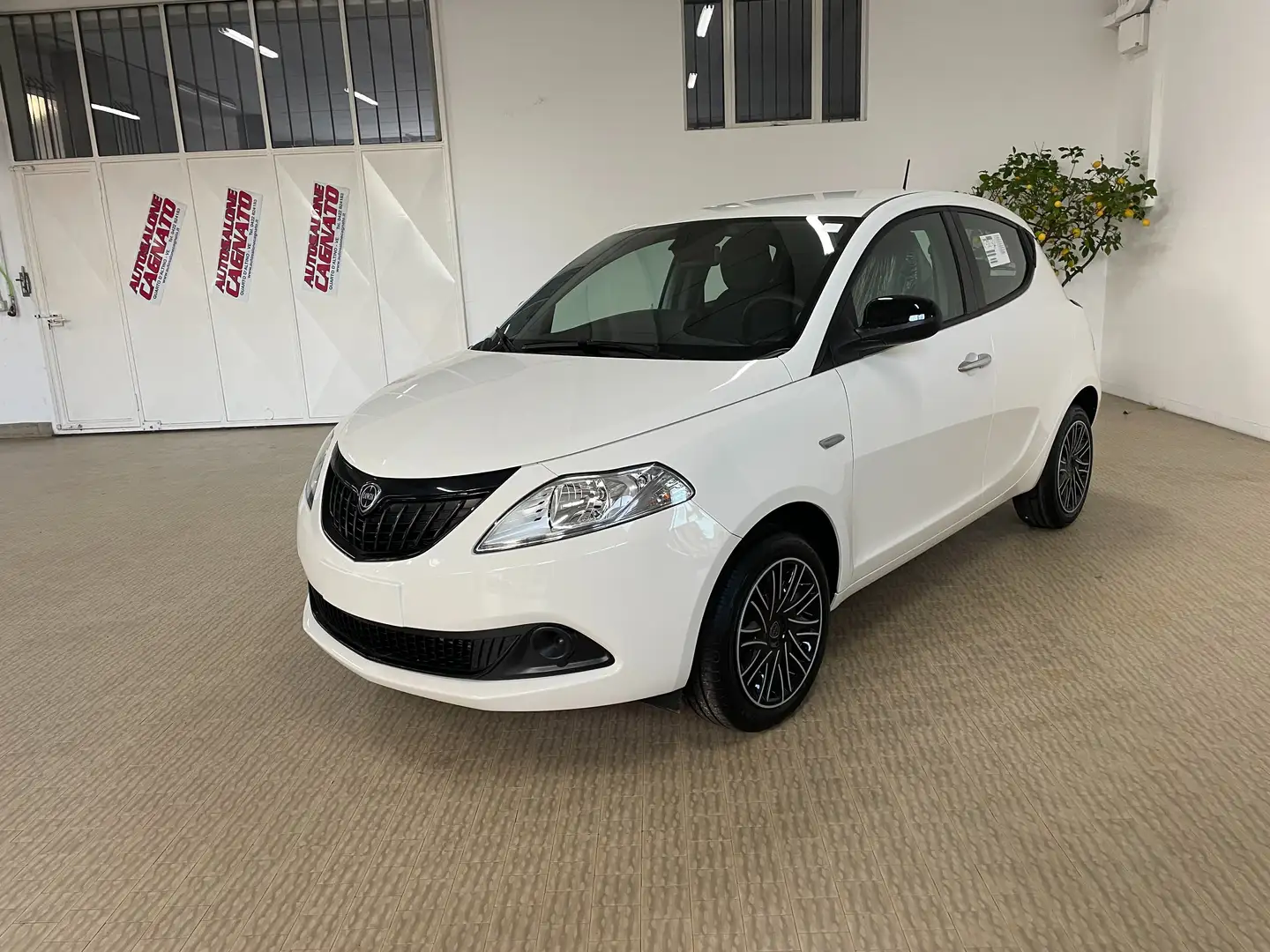 Lancia Ypsilon 1.0 hybrid ORO KM0 KM0+Clima autom.+Sensori Km0 Bianco - 2