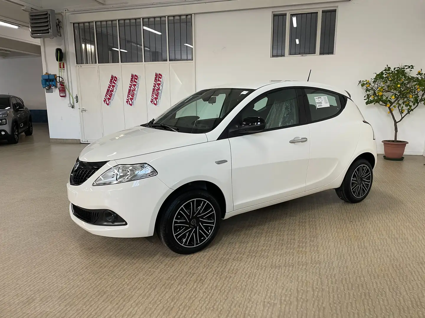 Lancia Ypsilon 1.0 hybrid ORO KM0 KM0+Clima autom.+Sensori Km0 Bianco - 1