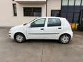 Fiat Punto Punto 5p 1.3 mjt Active Van Autocarro 4 posti Bianco - thumbnail 1