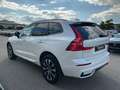 Volvo XC60 B4 Plus Dark AWD ACC 360° Allwetterreifen Weiß - thumbnail 5