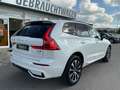 Volvo XC60 B4 Plus Dark AWD ACC 360° Allwetterreifen Weiß - thumbnail 7
