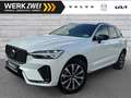 Volvo XC60 B4 Plus Dark AWD ACC 360° Allwetterreifen Weiß - thumbnail 1