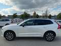 Volvo XC60 B4 Plus Dark AWD ACC 360° Allwetterreifen Weiß - thumbnail 4