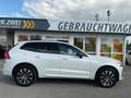 Volvo XC60 B4 Plus Dark AWD ACC 360° Allwetterreifen Weiß - thumbnail 8