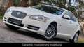 Jaguar XF 3.0 V6 Premium Luxury*Leder*Navi*Xenon* Blanc - thumbnail 2