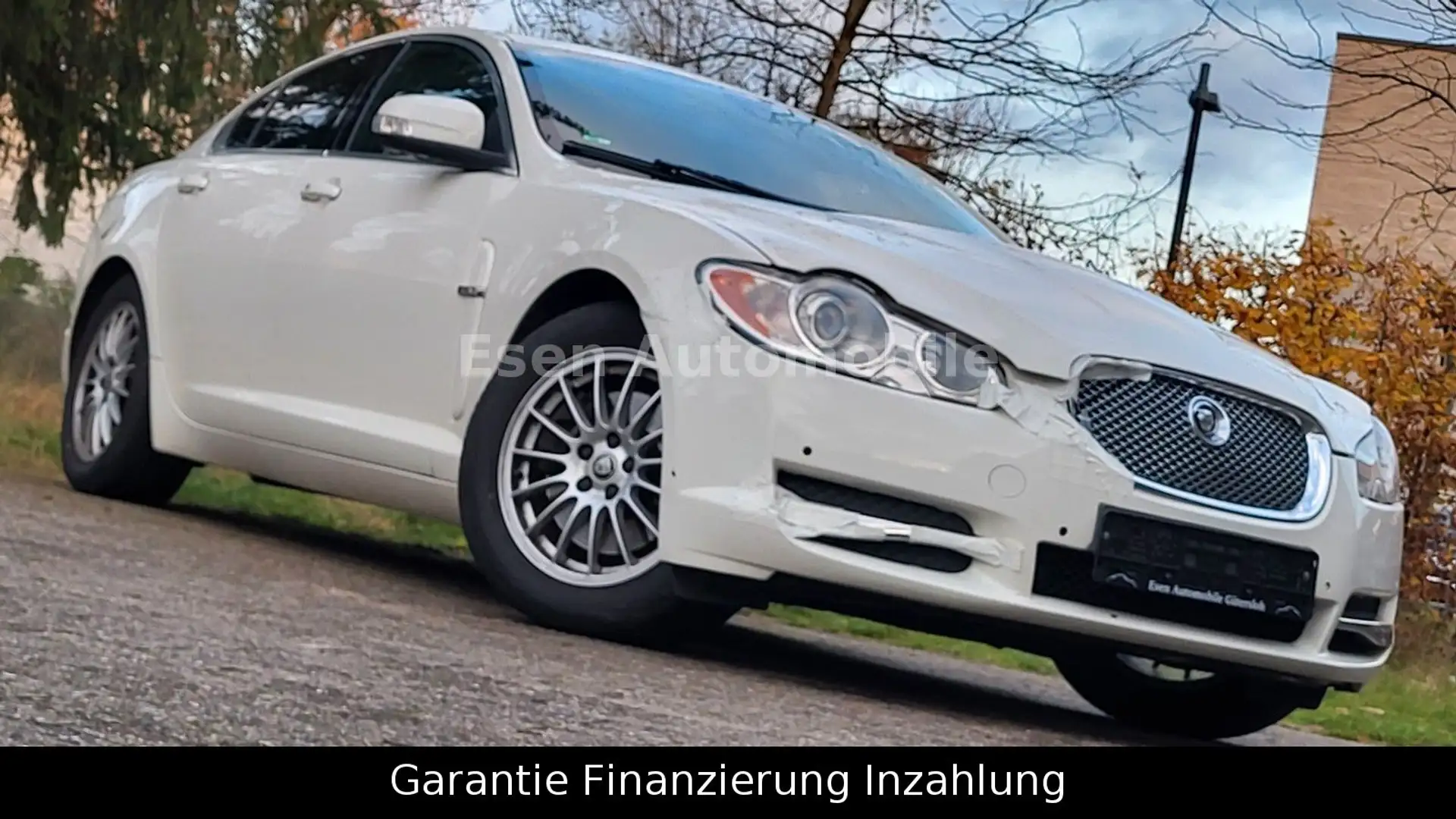 Jaguar XF 3.0 V6 Premium Luxury*Leder*Navi*Xenon* Blanc - 1
