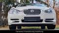 Jaguar XF 3.0 V6 Premium Luxury*Leder*Navi*Xenon* Blanc - thumbnail 13