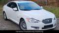 Jaguar XF 3.0 V6 Premium Luxury*Leder*Navi*Xenon* Blanc - thumbnail 11