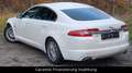 Jaguar XF 3.0 V6 Premium Luxury*Leder*Navi*Xenon* Blanc - thumbnail 5