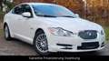 Jaguar XF 3.0 V6 Premium Luxury*Leder*Navi*Xenon* Blanc - thumbnail 10