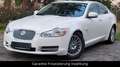 Jaguar XF 3.0 V6 Premium Luxury*Leder*Navi*Xenon* Blanc - thumbnail 17