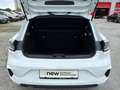 Renault Clio V Evolution 1.0 TCe 90 EU6e White - thumbnail 15