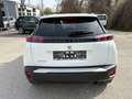Peugeot 2008 PureTech 100 S&S Allure Weiß - thumbnail 5