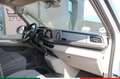 Volkswagen T7 California 2.0 tdi Beach Tour 150cv DSG7 Bianco - thumbnail 10