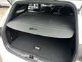Ford Focus Turnier 1,0 EcoBoost Hybrid ST-Line Aut. Weiß - thumbnail 17