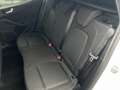 Ford Focus Turnier 1,0 EcoBoost Hybrid ST-Line Aut. Weiß - thumbnail 14