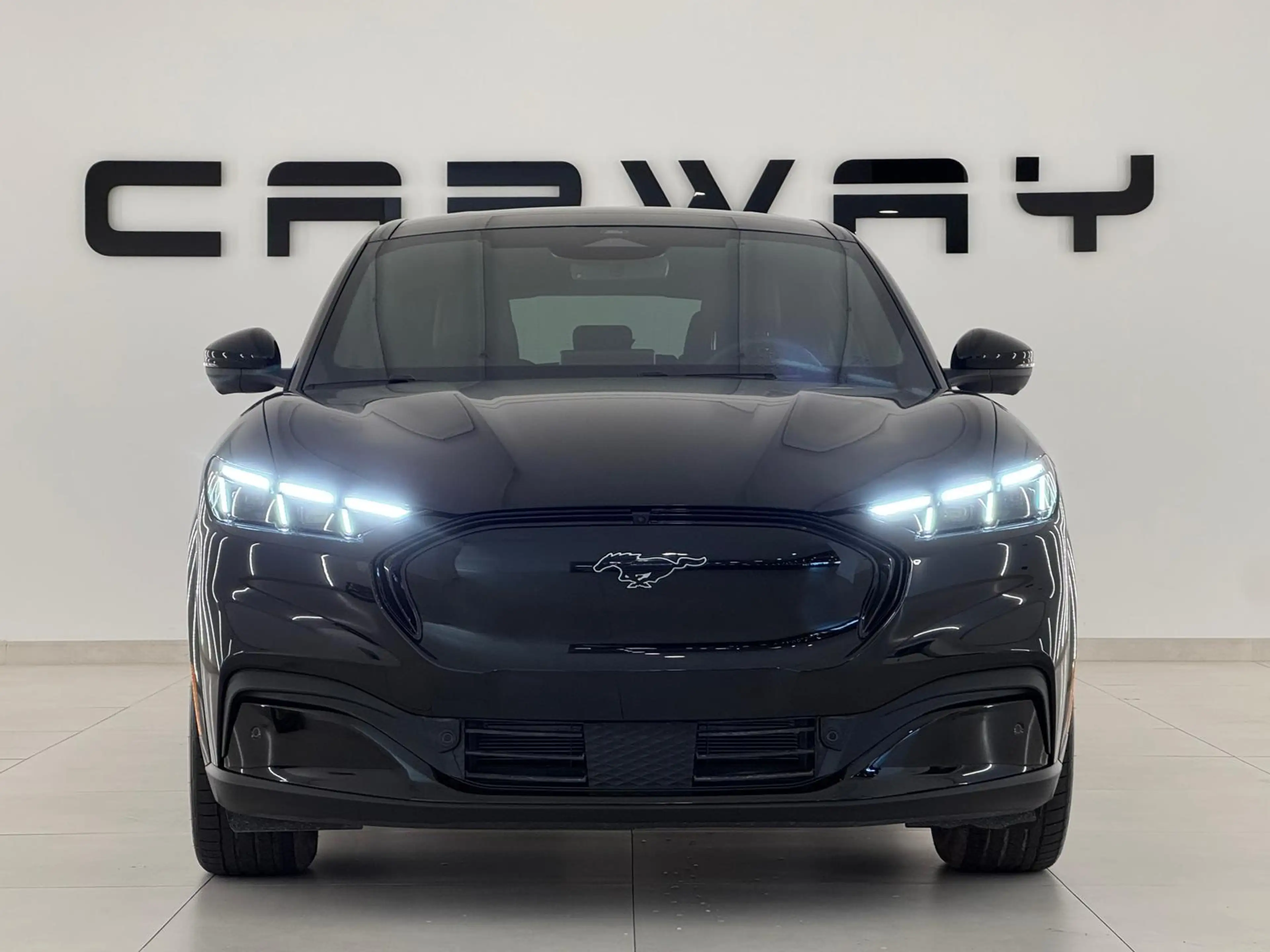 Ford Mustang Mach-E Extended Premium RWD 88 kWh — photo 10