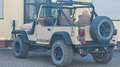 Jeep Wrangler YJ Cabrio Aut. 4.0 6Zyl. Beige - thumbnail 9