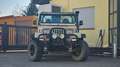 Jeep Wrangler YJ Cabrio Aut. 4.0 6Zyl. Beżowy - thumbnail 3