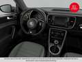 Volkswagen Beetle 1.2 TSI BMT Dune NAVI+LM+PDC+Facelift Weiß - thumbnail 5