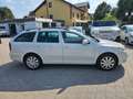Skoda Octavia Combi Family Weiß - thumbnail 6