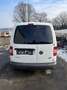 Volkswagen Caddy Kombi 1,6 TDI DPF Weiß - thumbnail 4