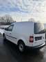 Volkswagen Caddy Kombi 1,6 TDI DPF Weiß - thumbnail 3