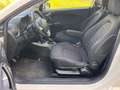 Alfa Romeo MiTo 1.4b Impression neues Pickerl Weiß - thumbnail 16