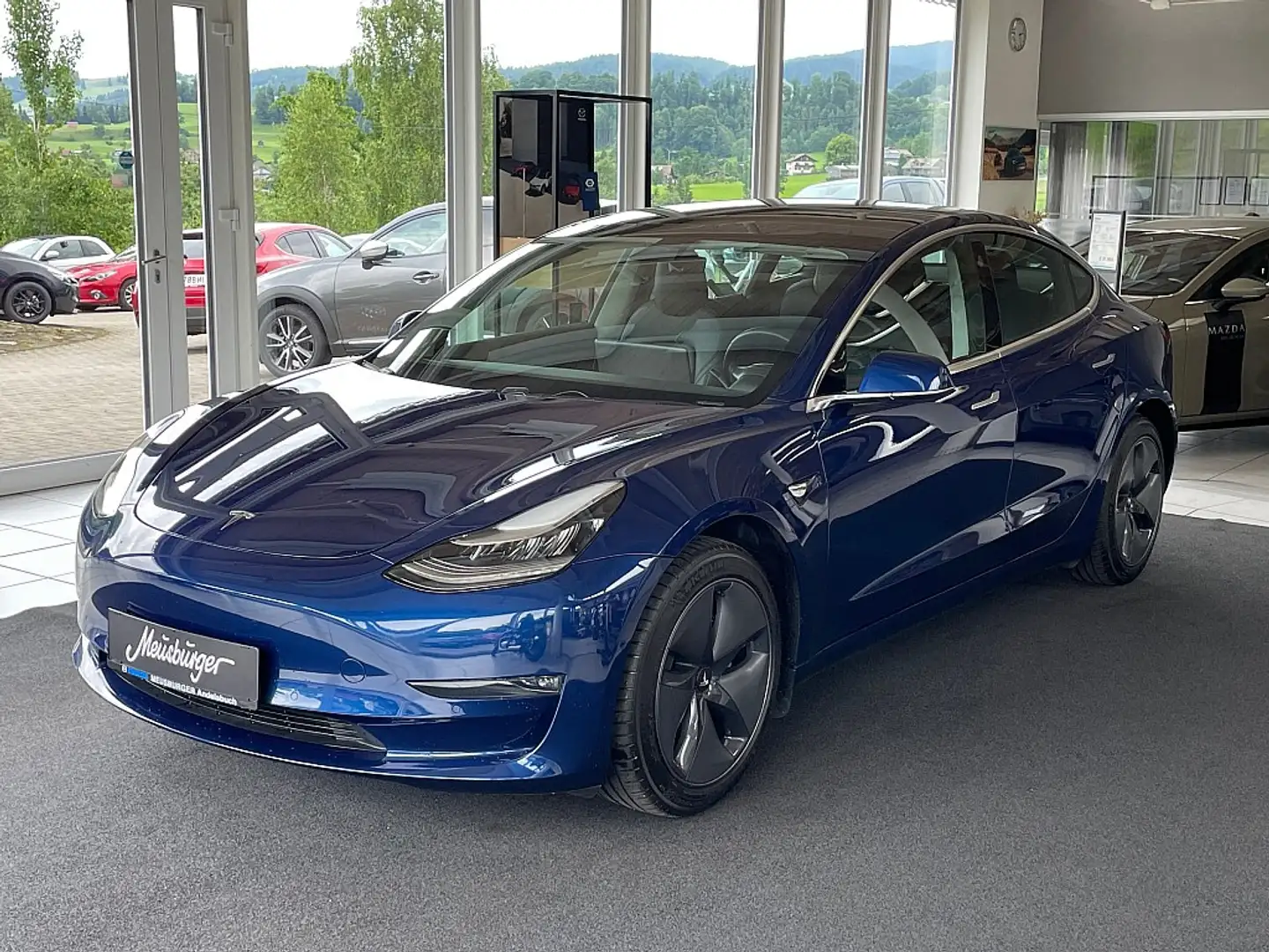 Tesla Model 3 Standard Range RWD Plus 57,5kWh Blau - 1