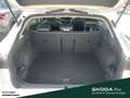 CUPRA Formentor 1.5 TSI DSG AHK LED FULL LINK Bianco - thumbnail 10