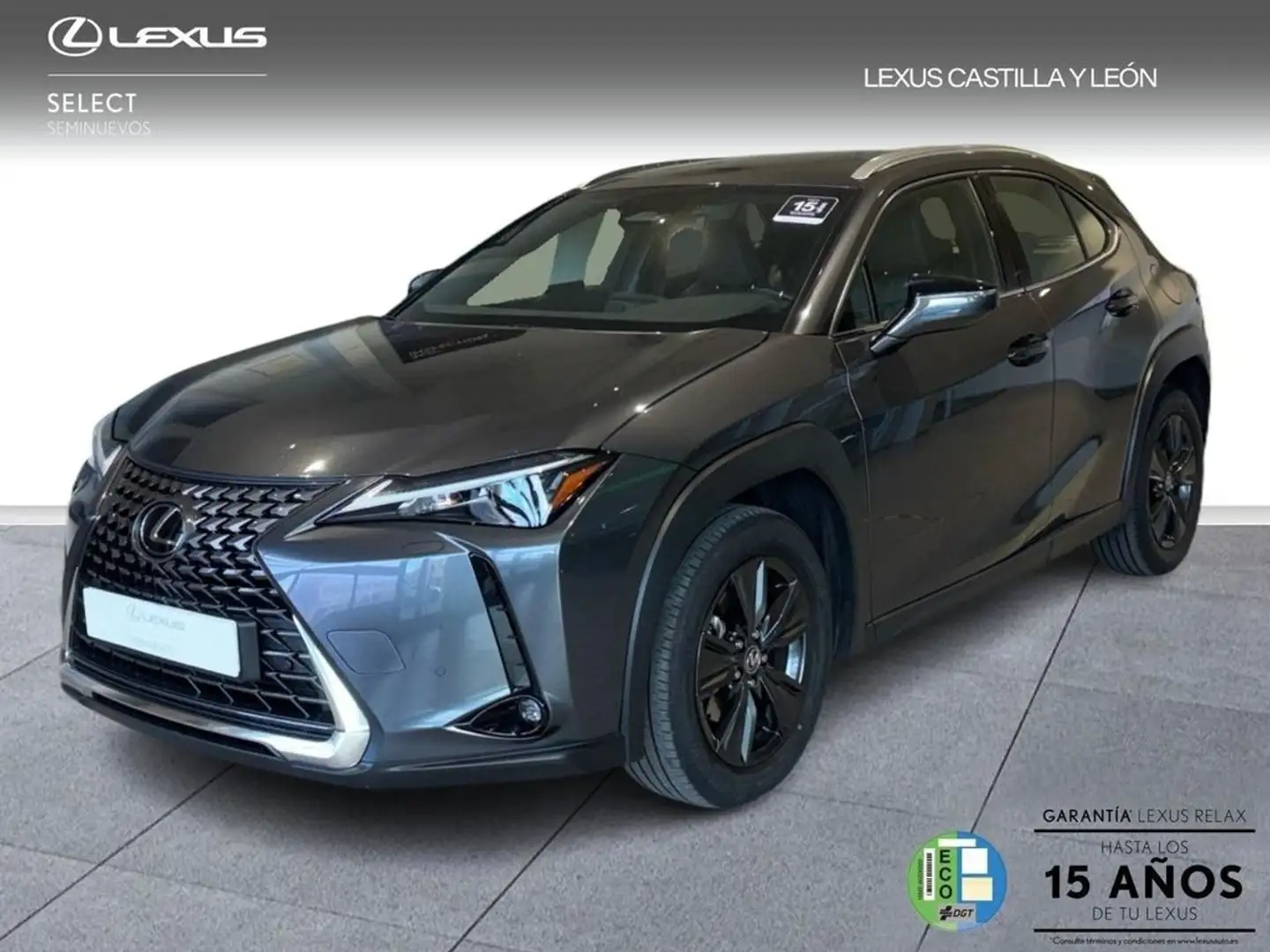 Lexus UX 200 + 2WD Grau - 1