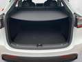Tesla Model Y Long Range AWD * Matrix-LED * Weiß - thumbnail 22