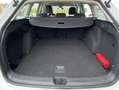 Volkswagen Golf Variant 1.5 TSI LIFE STANDHEIZUNG+4xSHZ+APP Weiß - thumbnail 13